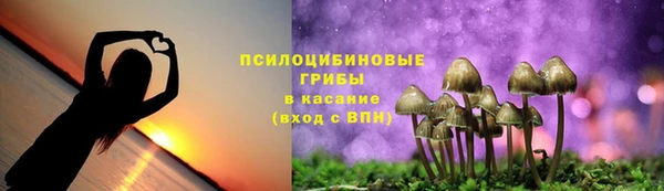 метадон Аркадак