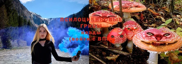 бошки Арсеньев