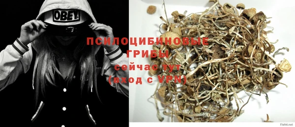 бошки Арсеньев