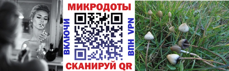 Галлюциногенные грибы прущие грибы Пенза