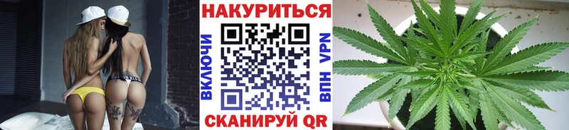 mega ссылки  купить наркотик  Пенза  Канабис Ganja 